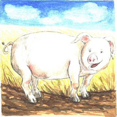 pig